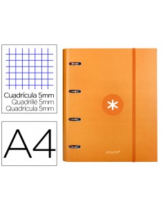 Carpeta con recambio...