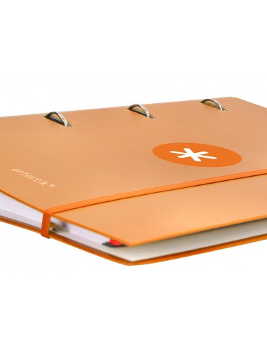 Carpeta con recambio antartik a4...