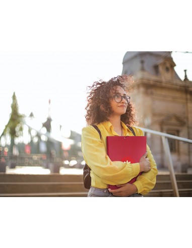 Carpeta antartik gomas a4 3 solapas...