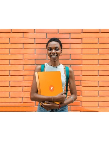 Carpeta 4 anillas 40 mm mixtas...