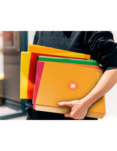 Carpeta 4 anillas 40 mm mixtas...