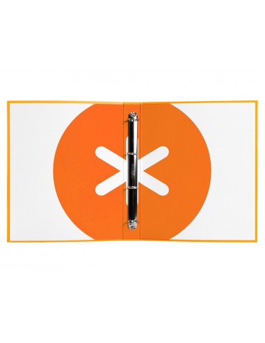 Carpeta 4 anillas 40 mm mixtas...