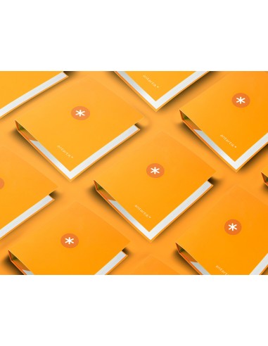 Carpeta 4 anillas 40 mm mixtas...