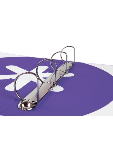 Carpeta 4 anillas 40 mm mixtas...