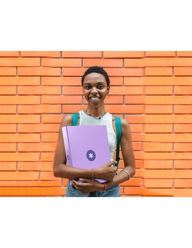 Carpeta 4 anillas 40 mm mixtas...