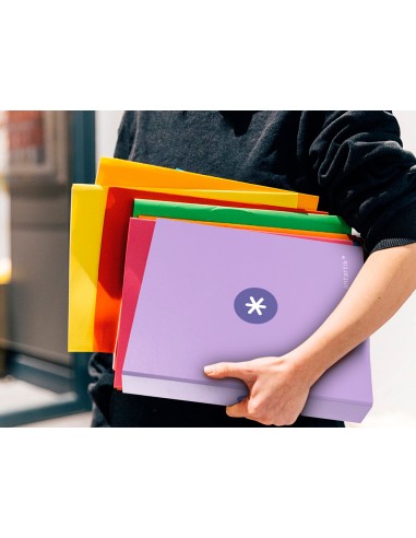 Carpeta 4 anillas 40 mm mixtas...