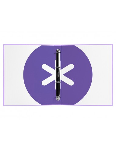 Carpeta 4 anillas 40 mm mixtas...