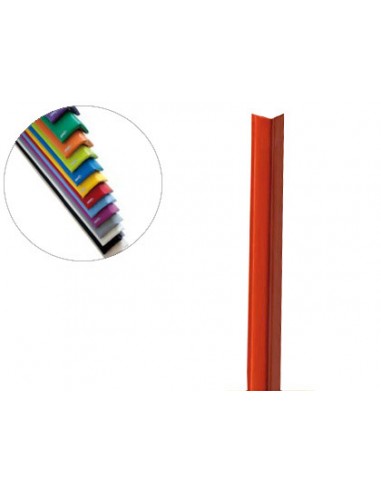 Protector cantonera sumo didactic...