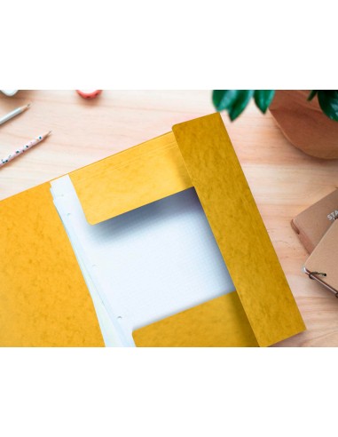 Carpeta q-connect gomas kf02166...