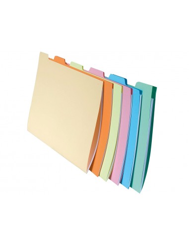 Subcarpeta cartulina exacompta din a4...