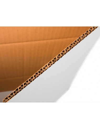 Caja para embalar q-connect americana...