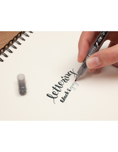 Rotulador tombow fudenosuke tinta...