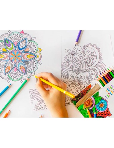 Set de dibujo alpino color experience...