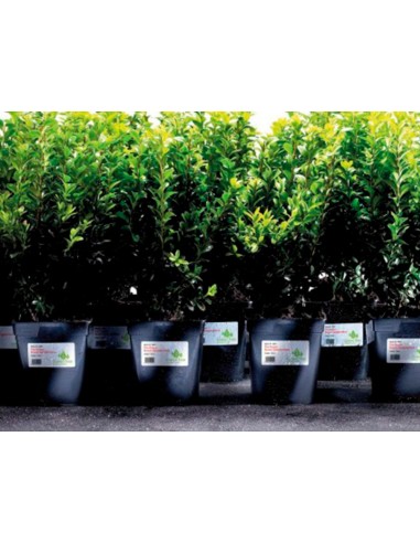 Etiqueta adhesiva resistente avery...