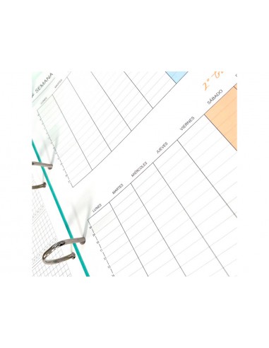 Carpeta 4 anillas de 35 mm carchivo...