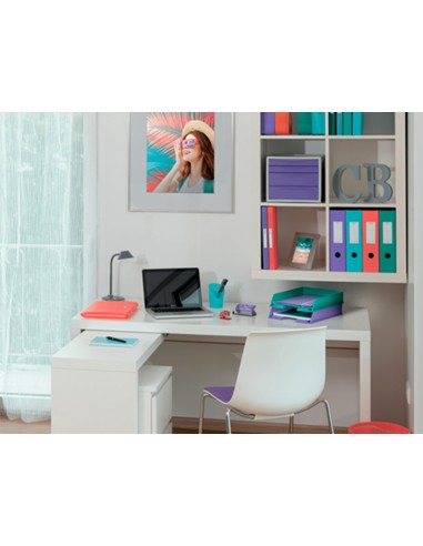 Archivador de palanca esselte colour...