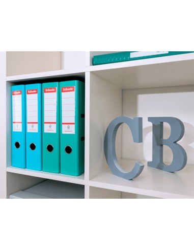 Archivador de palanca esselte colour...