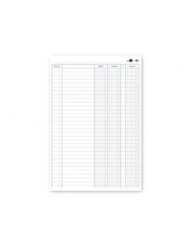 Libro liderpapel folio cartone 100...