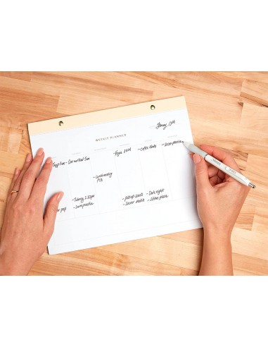 Boligrafo sharpie fashion retractil...