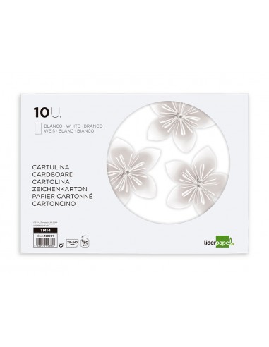 Bloc trabajos manuales liderpapel...