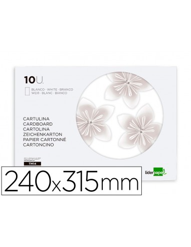 Bloc trabajos manuales liderpapel...