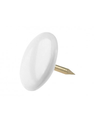 Chincheta lismania office color...