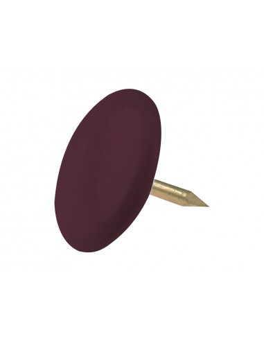 Chincheta lismania office color...