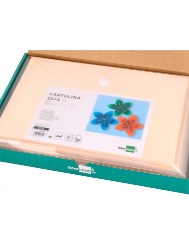 Cartulina liderpapel a4 180g/m2 crema...