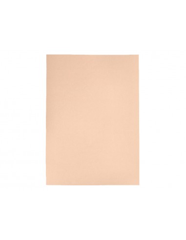 Cartulina liderpapel a4 180g/m2 crema...