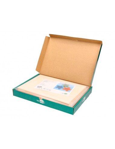 Cartulina liderpapel a4 180g/m2 crema...