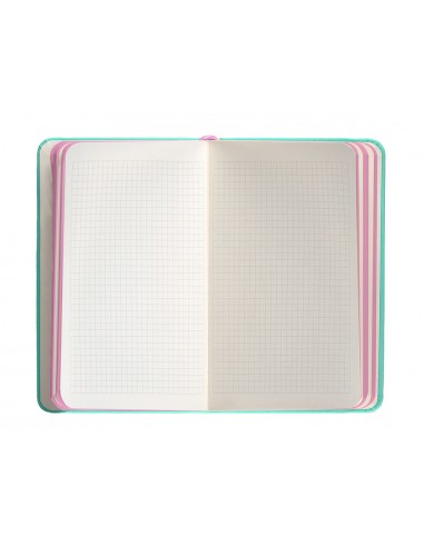 Cuaderno con gomilla antartik notes...