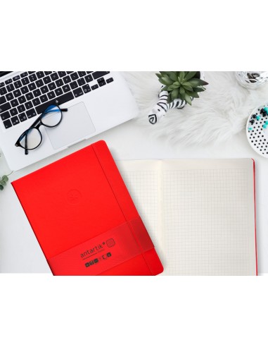 Cuaderno con gomilla antartik notes...