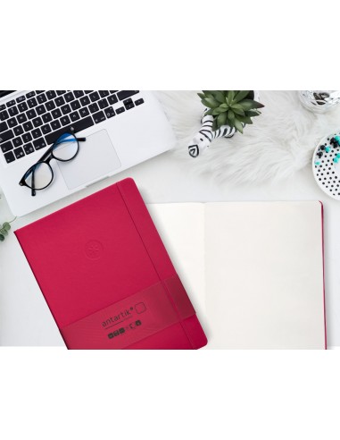 Cuaderno con gomilla antartik notes...