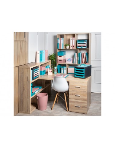 Carpeta de 4 anillas 30 mm exacompta...