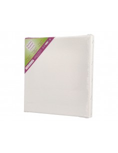 Bastidor lidercolor lienzo... 2