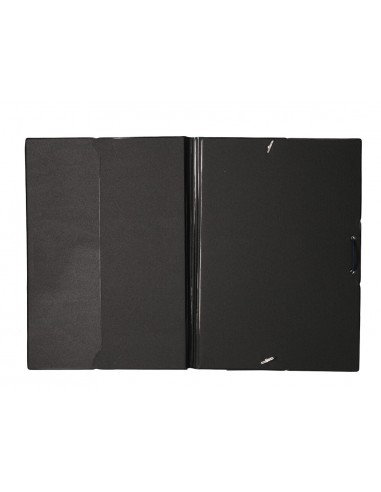 Carpeta liderpapel gomas folio...