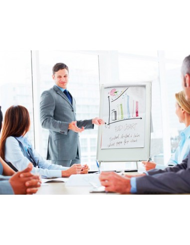 Pizarra blanca q-connect con tripode...