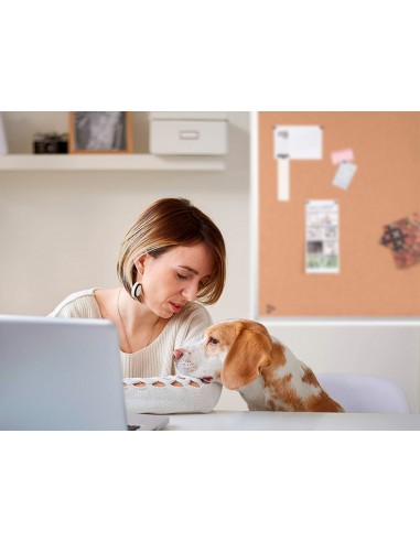 Pizarra corcho q-connect 120x90 cm...