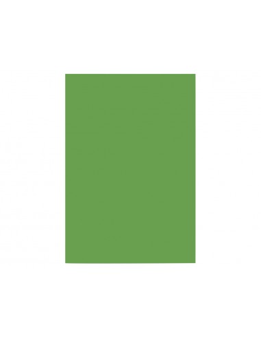 Cartulina liderpapel a4 180g/m2 verde...