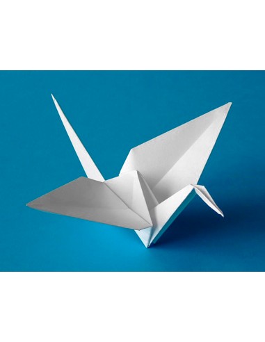 Cartulina liderpapel 50x65 cm 240g/m2...