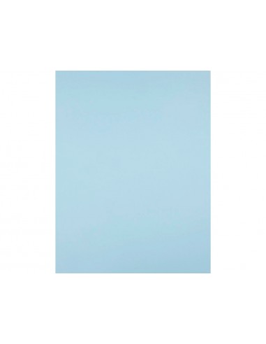 Cartulina liderpapel 50x65 cm 180g/m2...