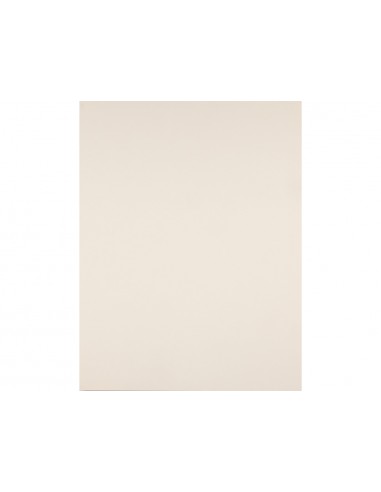 Cartulina liderpapel 50x65 cm 180g/m2...