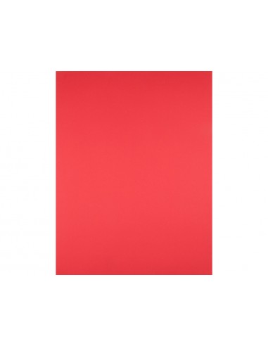 Cartulina liderpapel 50x65 cm 180g/m2...