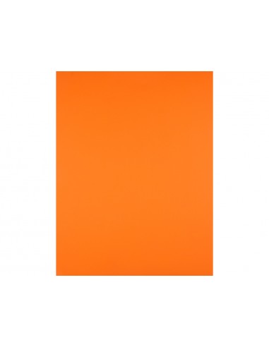 Cartulina liderpapel 50x65 cm 180g/m2...