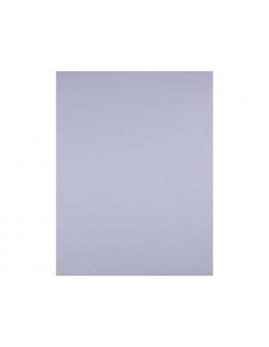 Cartulina liderpapel 50x65 cm lila...