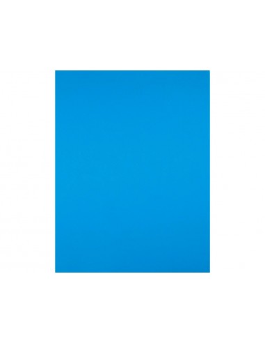 Cartulina liderpapel 50x65 cm 180g/m2...