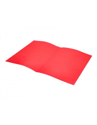 Subcarpeta liderpapel folio rojo...