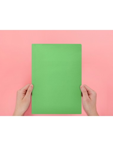 Subcarpeta liderpapel folio verde...