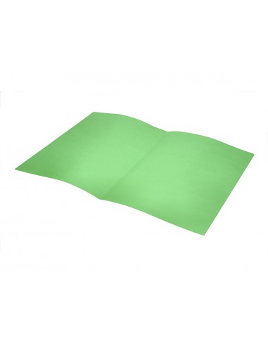 Subcarpeta liderpapel folio verde...