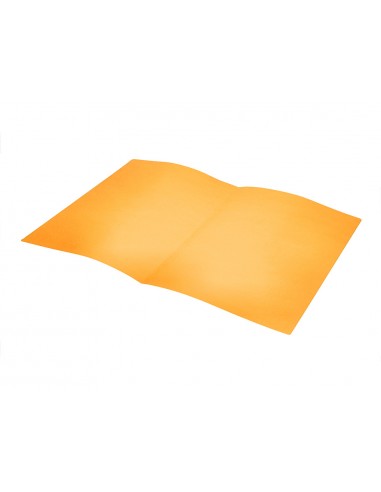 Subcarpeta liderpapel folio naranja...